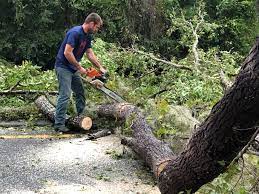 Best Tree Maintenance Programs  in Wona Lake, IN