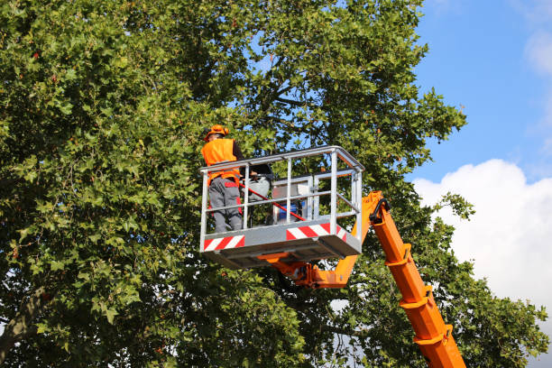 Best Hazardous Tree Removal  in Wona Lake, IN