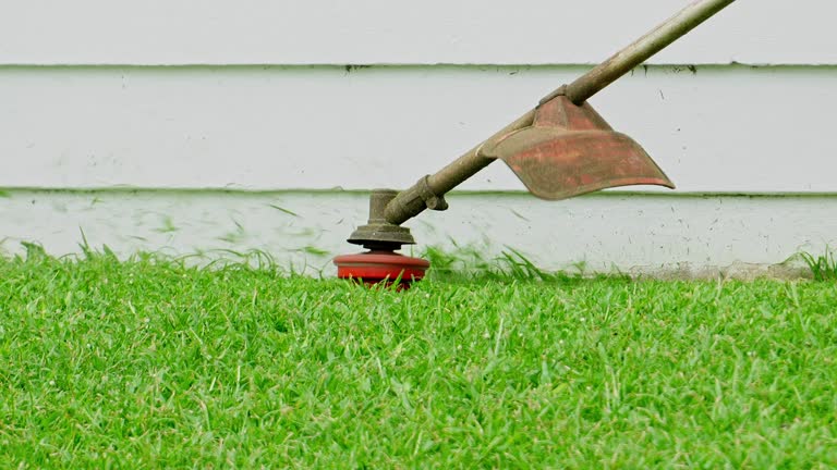 Seasonal Cleanup (Spring/Fall) in Winona Lake, IN